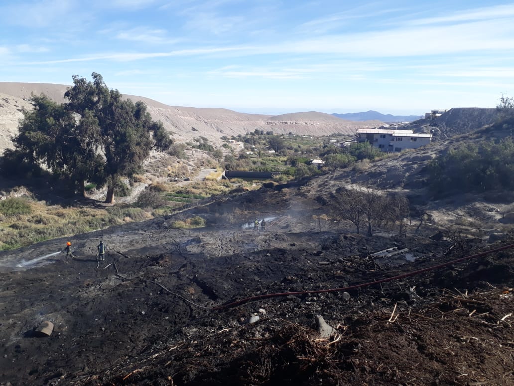 Establecen prohibición de quemas agrícolas en el Tamarugal por Fiesta de La Tirana
