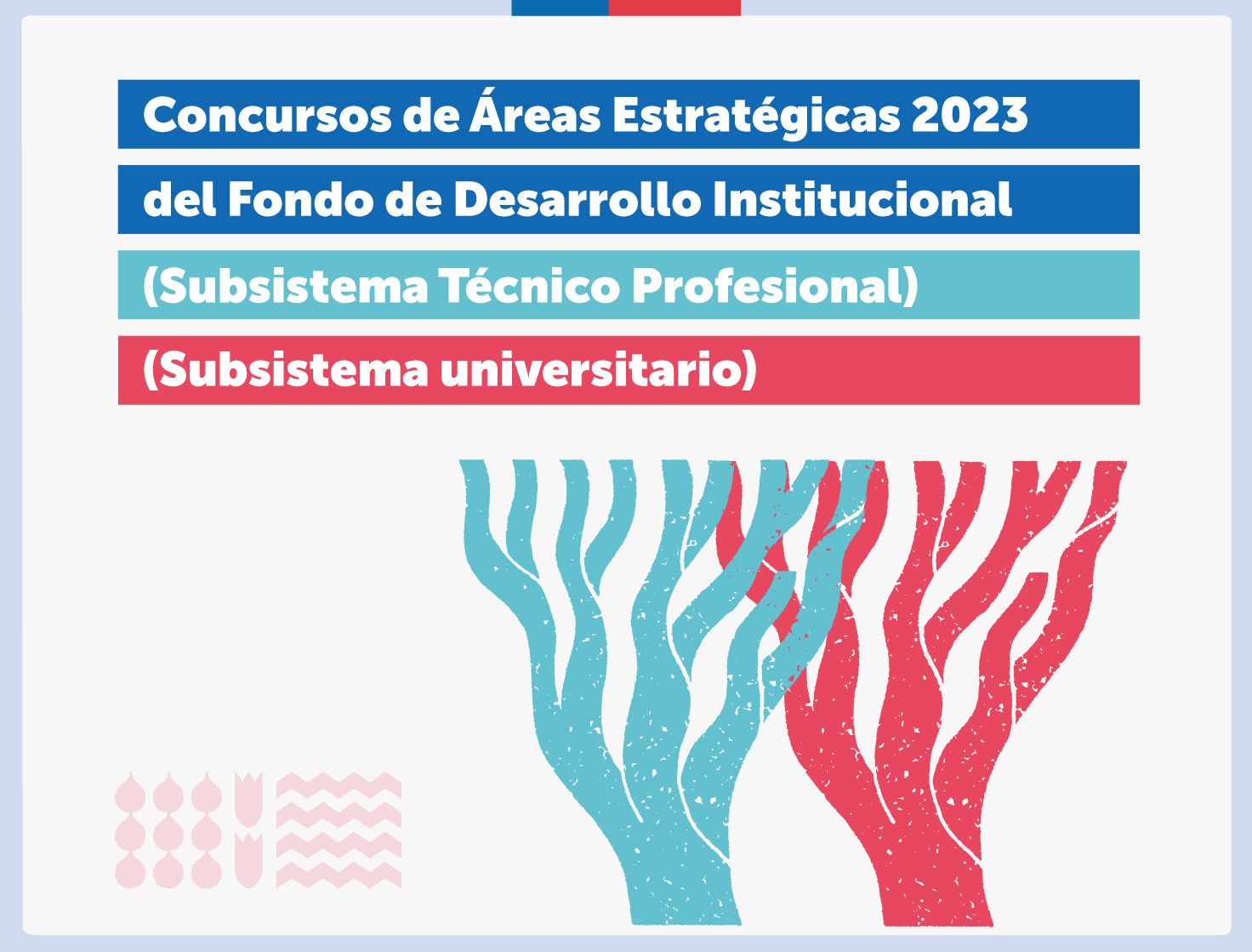 Por primera vez se incluye salud mental: Mineduc adjudica más de $8 mil millones en fondos estratégicos para la Educación Superior 