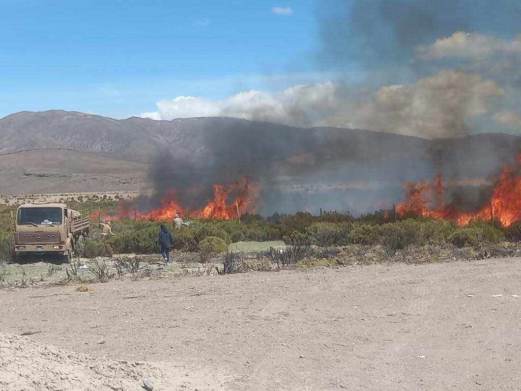 ORDENAN REFORESTAR SUPERFICIE AFECTADA POR QUEMA ILEGAL EN CARIQUIMA
