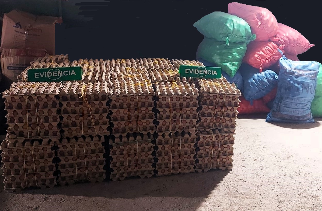 CARABINEROS SORPRENDE A CONDUCTOR CON 9 MIL HUEVOS DE CONTRABANDO