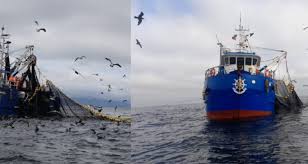 Detectan a embarcaciones artesanales operando con redes de cerco en zonas prohibidas de la Región de Tarapacá