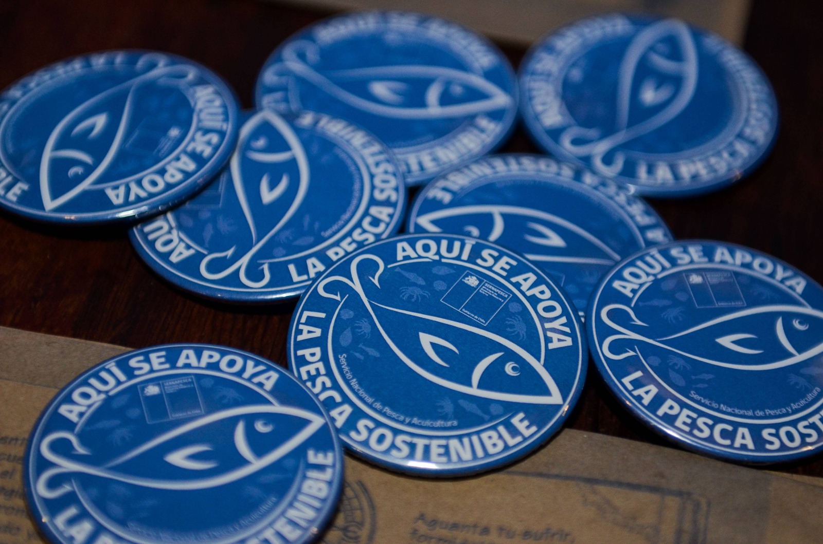 Se acerca el fin del período de postulaciones para obtener el Sello Azul de Sernapesca