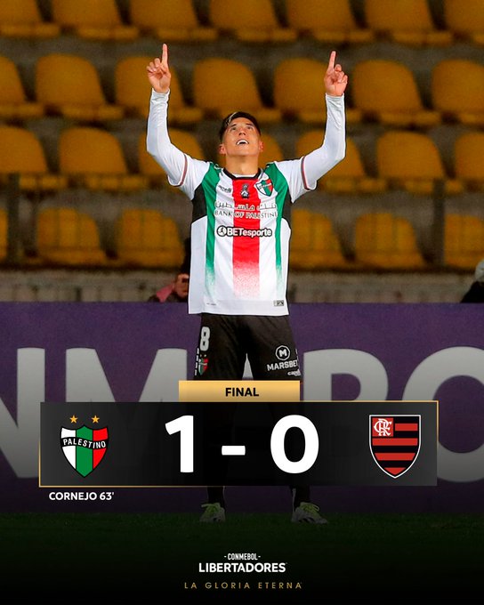 Con golazo de Cornejo  Palestino triunfa  ante Flamengo por Libertadores.