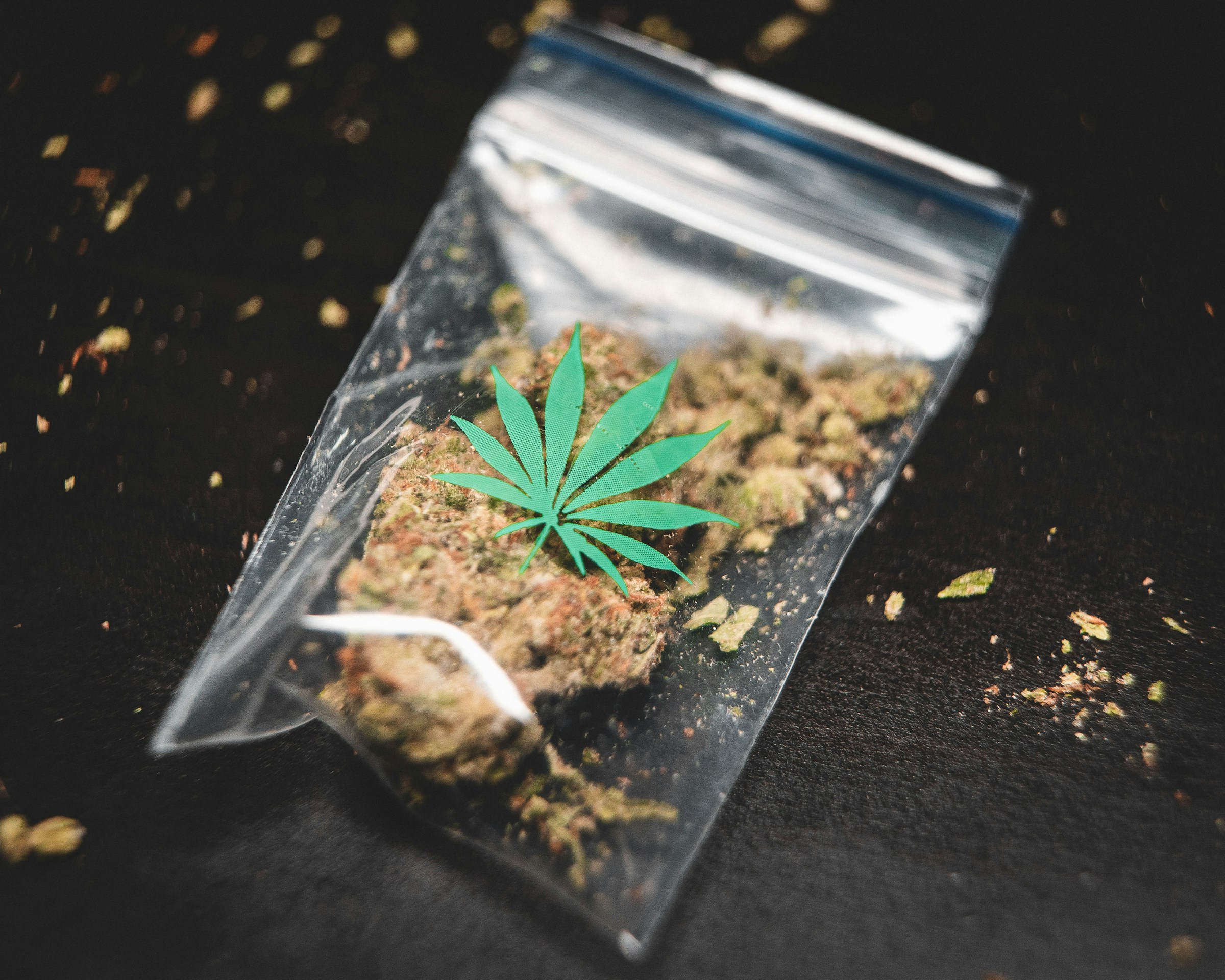 La Marihuana: ¿Moda Juvenil o Problema Social?