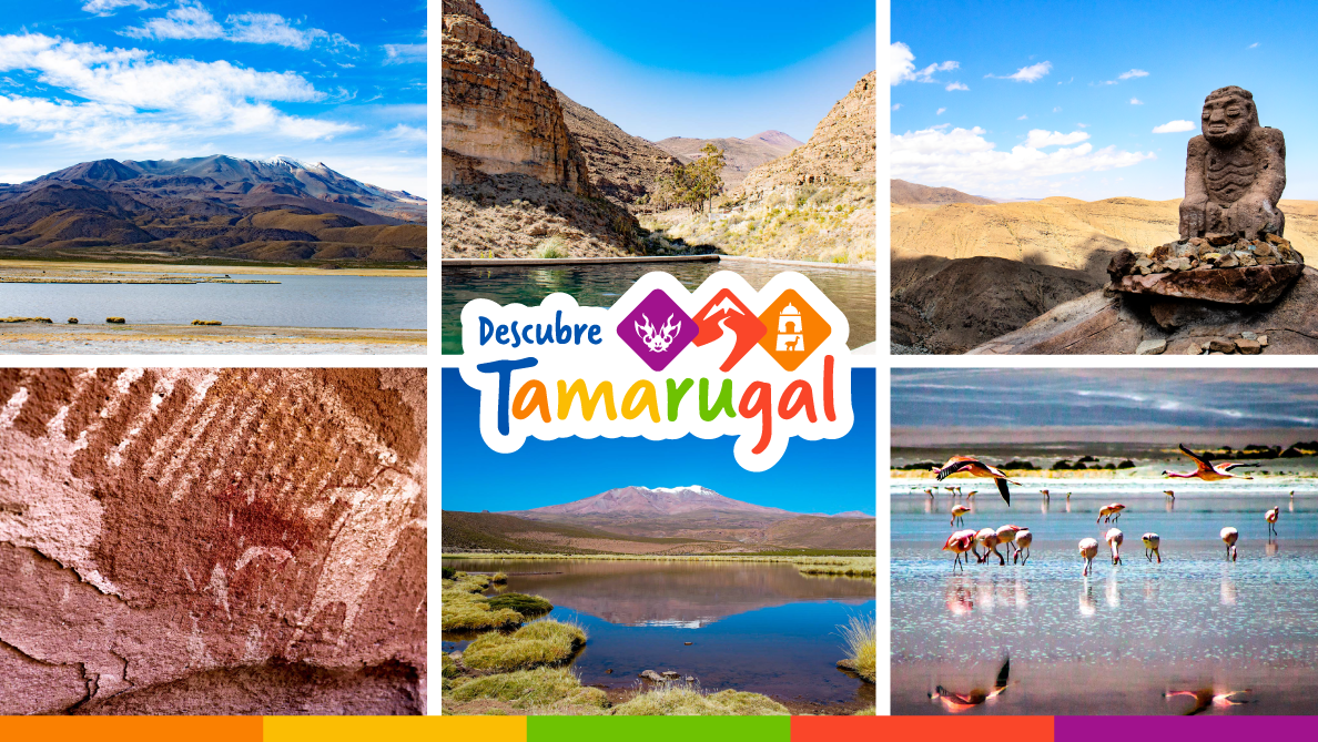 El Turismo Indígena, como fortaleza de la actividad turística en la Provincia del Tamarugal, Región de Tarapacá.