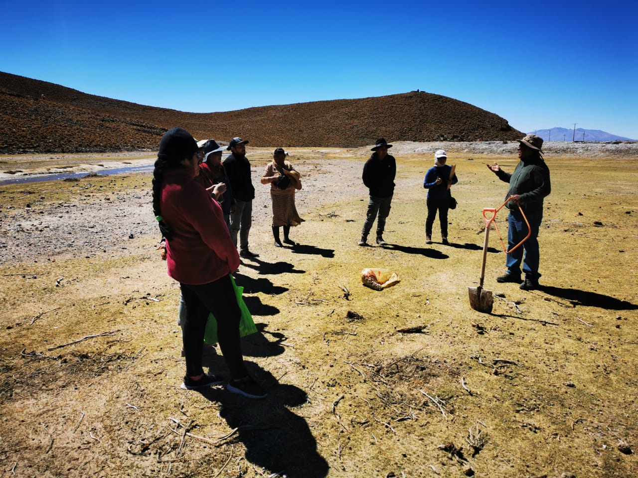 La Ganadería Camélida y el Desafío de los Bofedales en el Altiplano de Tarapacá.