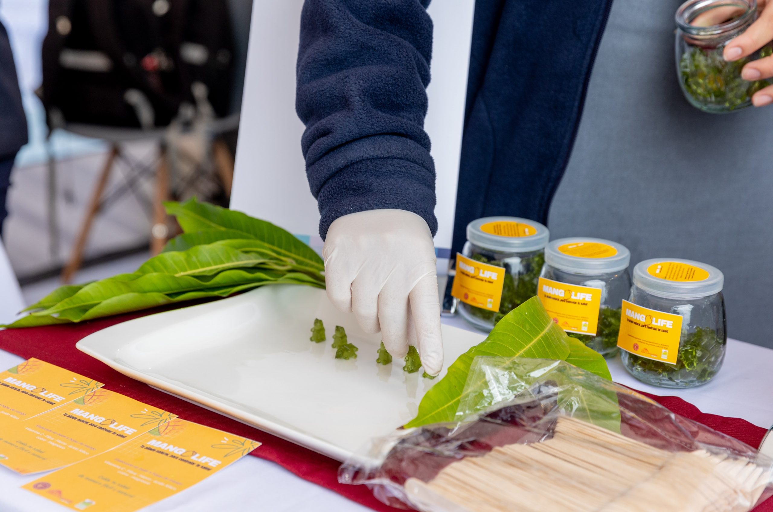 Proyecto “Mangolife” de Liceo Padre Alberto Hurtado Cruchaga de Pica destacó en concurso de innovación regional.