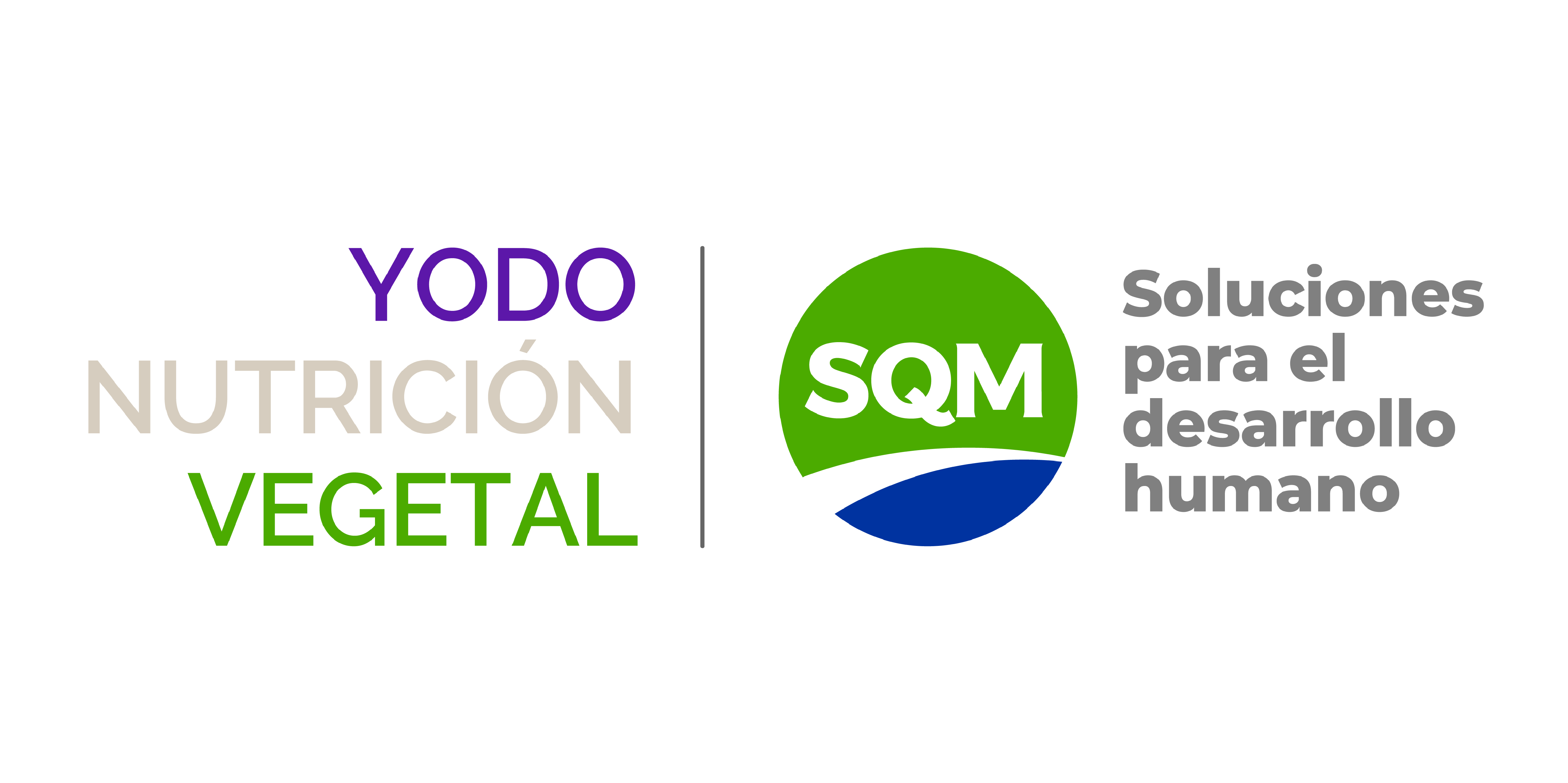 ActivaFest Iquique 2024: una fiesta de emprendimiento e innovación´.