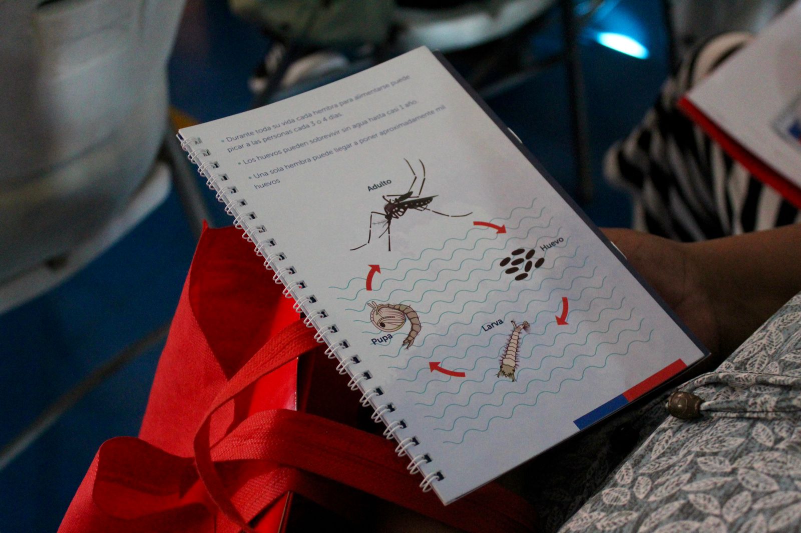 Seremi de Salud de Tarapacá realizó exitosa Escuela de Gestores comunitarios a dirigentes de comités de vivienda de Alto Hospicio.