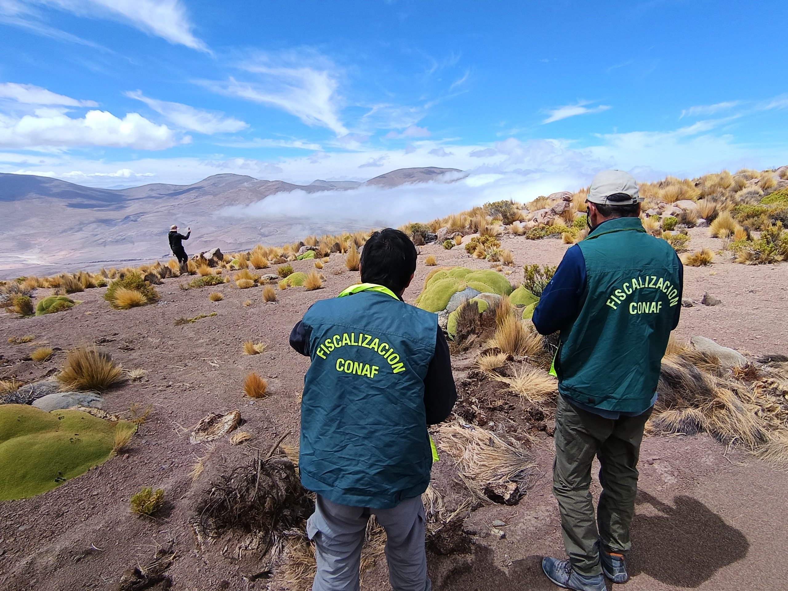 CONAF se querella por delito ambiental tras daños dentro del Parque Nacional Volcán Isluga.