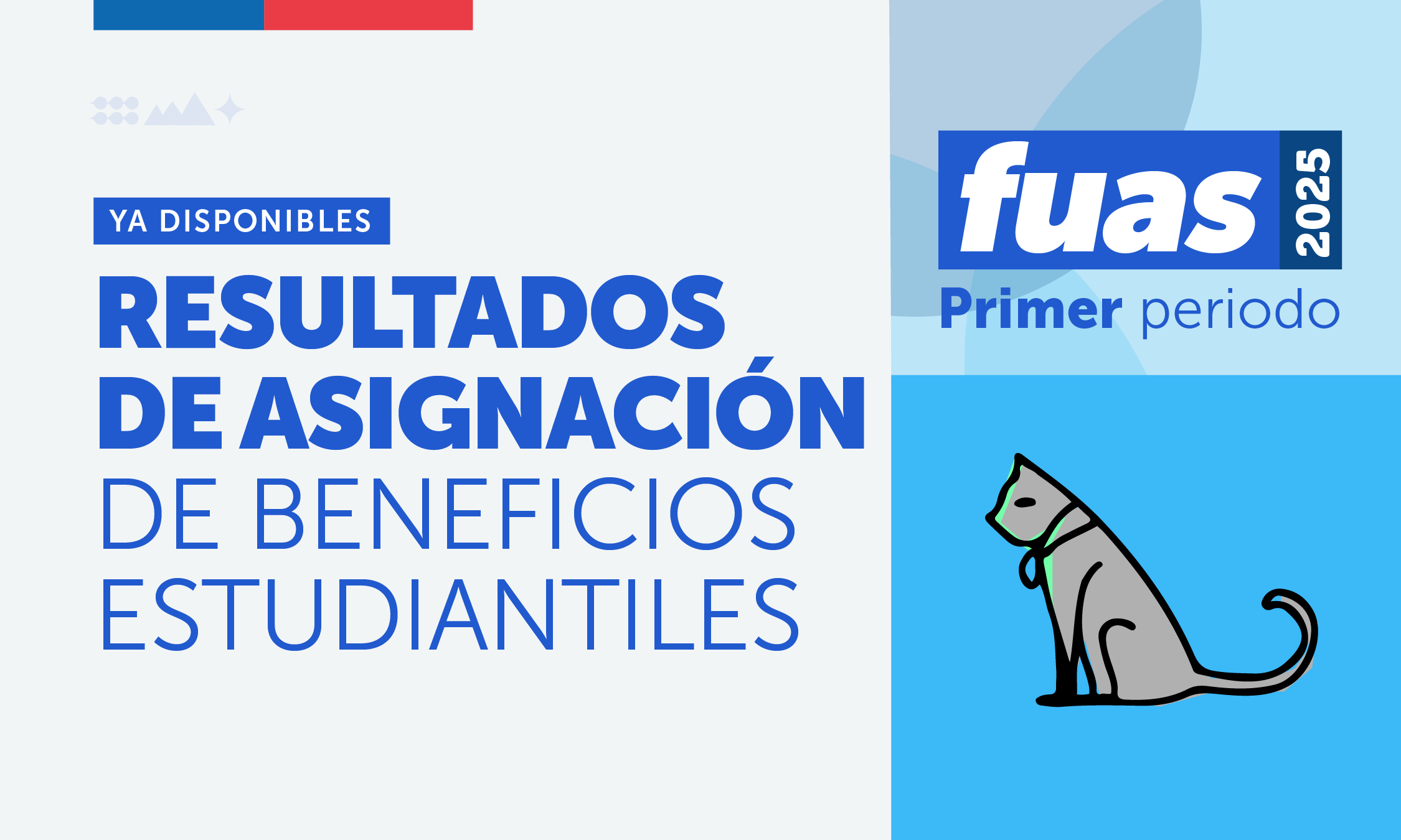 Mineduc publica primeros resultados de beneficios estudiantiles para la Educación Superior en 2025 y abre etapa de apelación online.