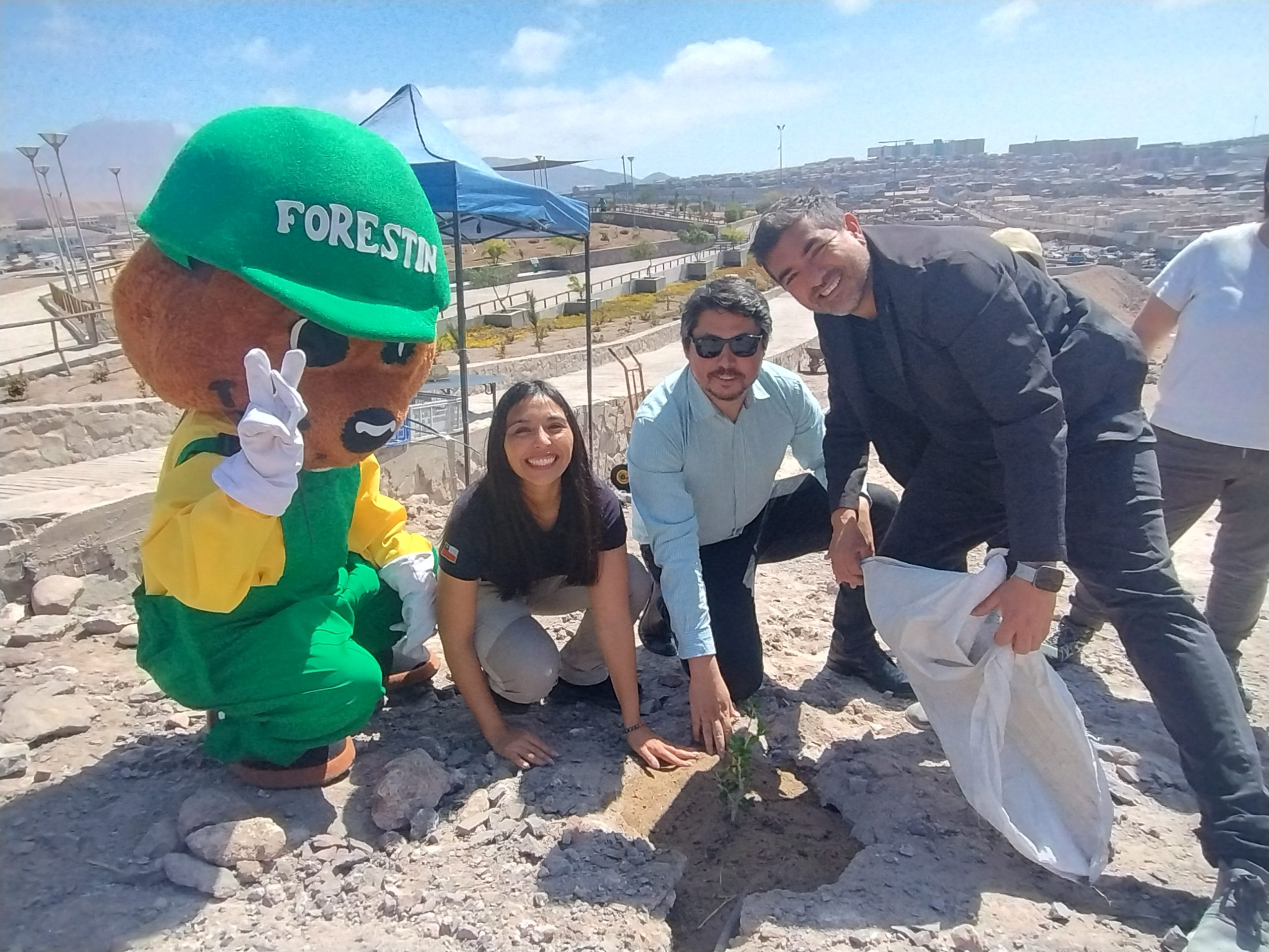 Día de los Bosques: CONAF Tarapacá plantó más de 85 hectáreas de futuro bosque nativo para la región en 2024.