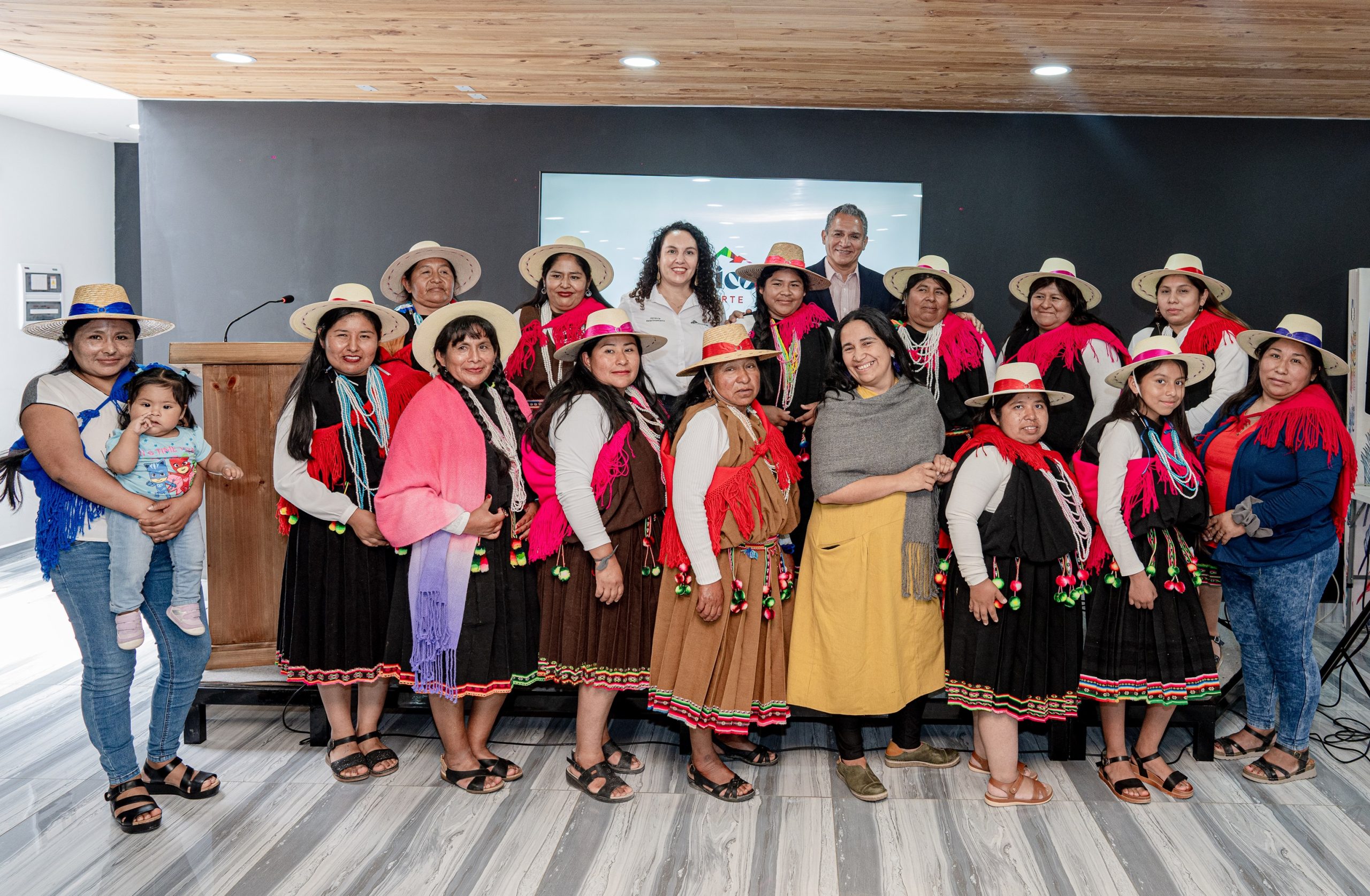 Comunidad aymara Yabricollita y Caya pone en valor su patrimonio ancestral con emprendimiento textil.