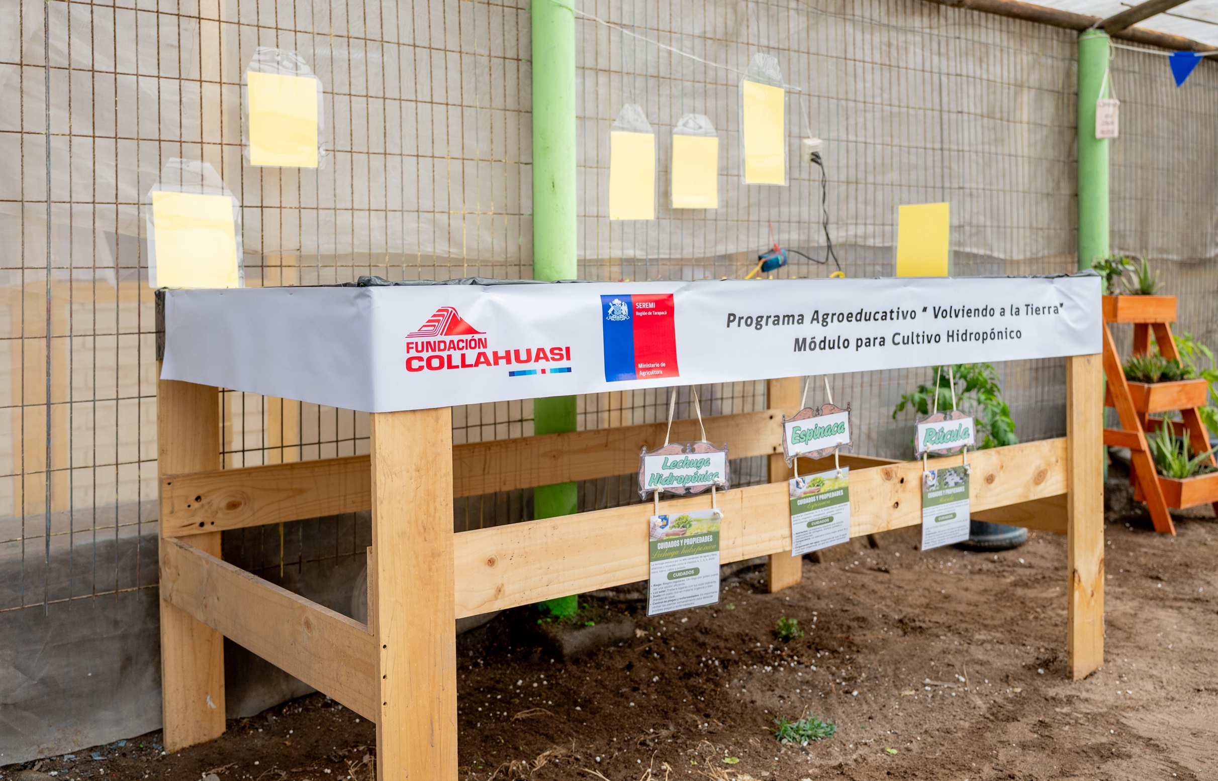 Programa agroeducativo beneficiará a 21 establecimientos estudiantiles de Tarapacá con talleres de hidroponía y compostaje.