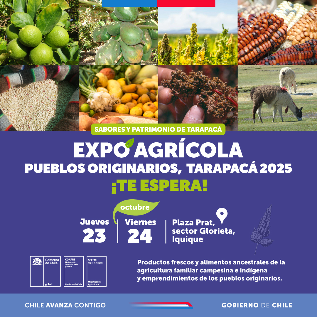 Principales actores del rubro silvoagropecuario se reunirán en Expo Agrícola Pueblos Originarios Tarapacá 2025.