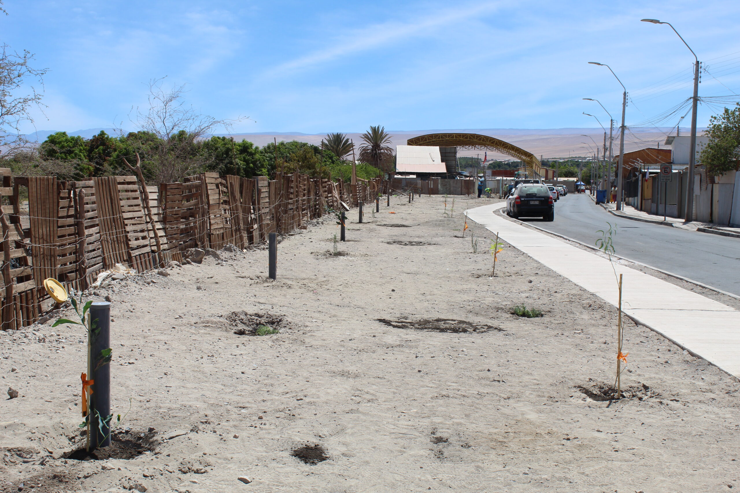 Colaboración Pública-Comunitaria de CONAF revitaliza Pica con más de 4.000 m² de áreas verdes.