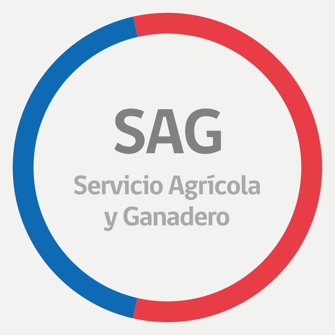 ENTREVISTA DIRECTORA DEL SAG REGIÓN DE TARAPACÁ.