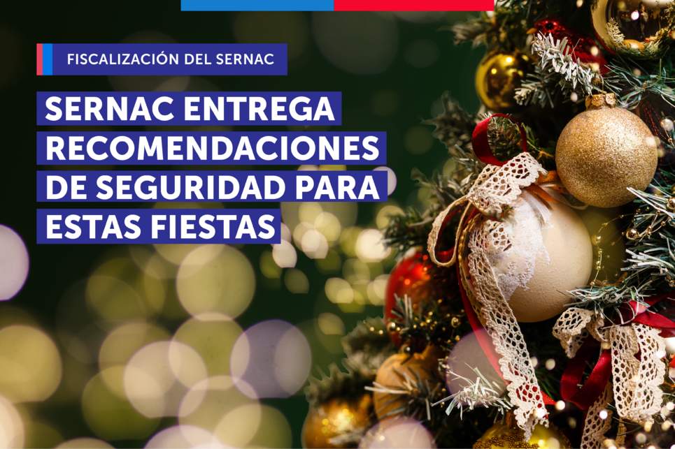 QUE LA NAVIDAD NO SE TRANSFORME EN PESADILLA: SERNAC ENTREGA RECOMENDACIONES DE SEGURIDAD PARA ESTAS FIESTAS.