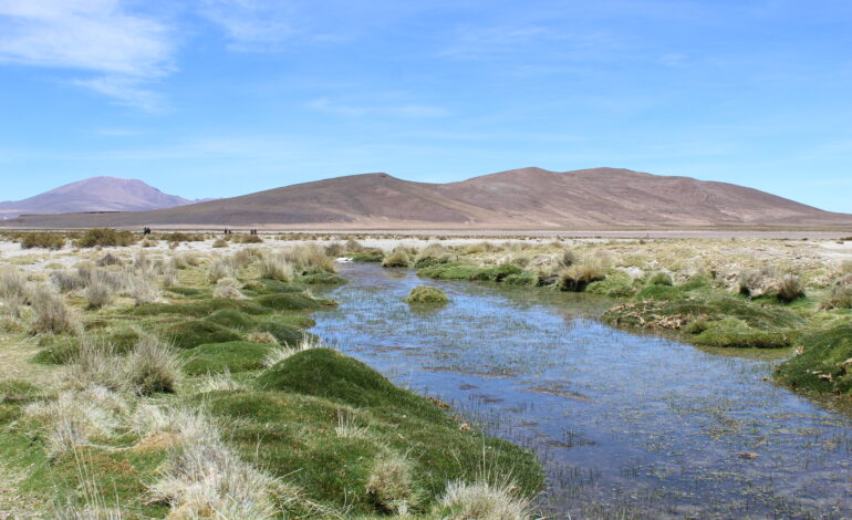 Comunidad de Cancosa y CONAF Tarapacá celebraron el Día de los Humedales con visita  a laguna Lagunillas.