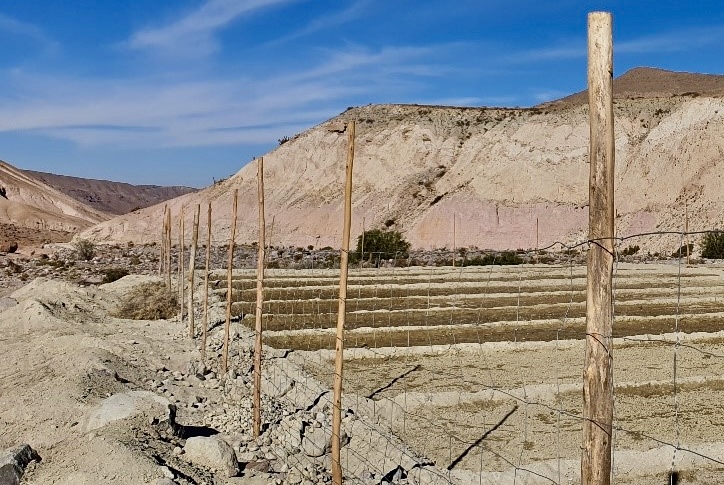 INDAP Tarapacá aprueba más de 130 planes de manejos para recuperar suelos agropecuarios en la región.