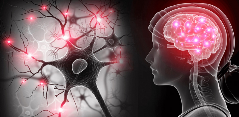 Enfermedad de Parkinson: el impacto en los pacientes y sus familias.