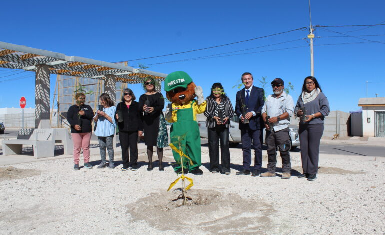CONAF Tarapacá y comunidad de Pica celebraron el Día Mundial del Árbol dando inicio al programa “Mi pueblo, mi árbol” en la provincia del Tamarugal.