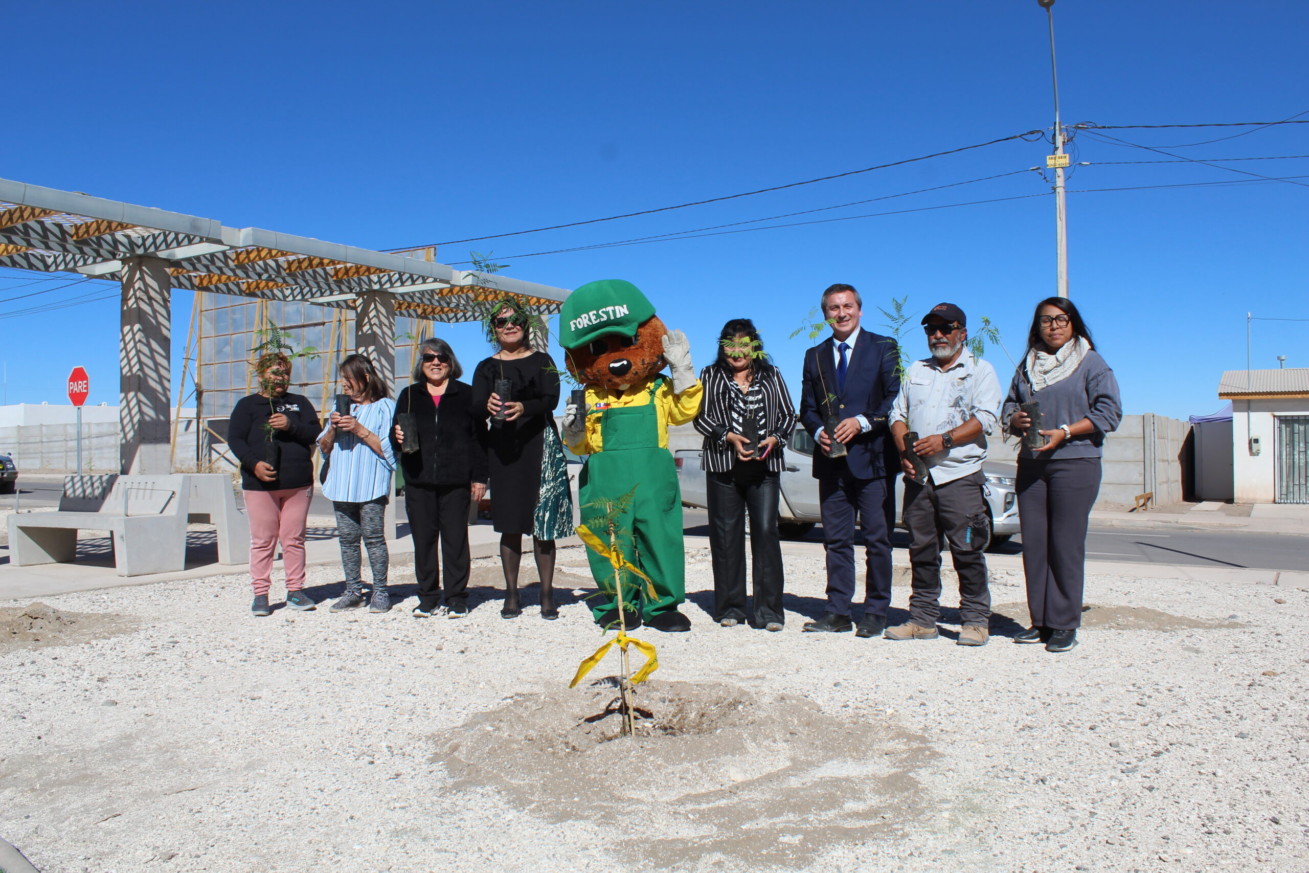 CONAF Tarapacá y comunidad de Pica celebraron el Día Mundial del Árbol dando inicio al programa “Mi pueblo, mi árbol” en la provincia del Tamarugal.