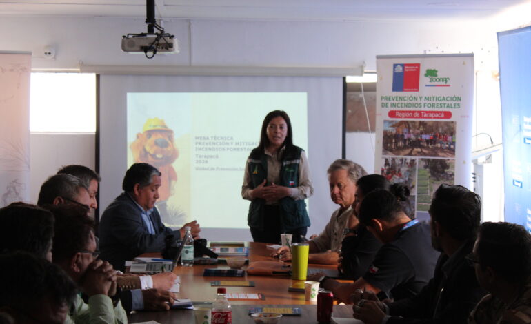 CONAF Tarapacá fortalece coordinación interinstitucional para prevenir incendios forestales.