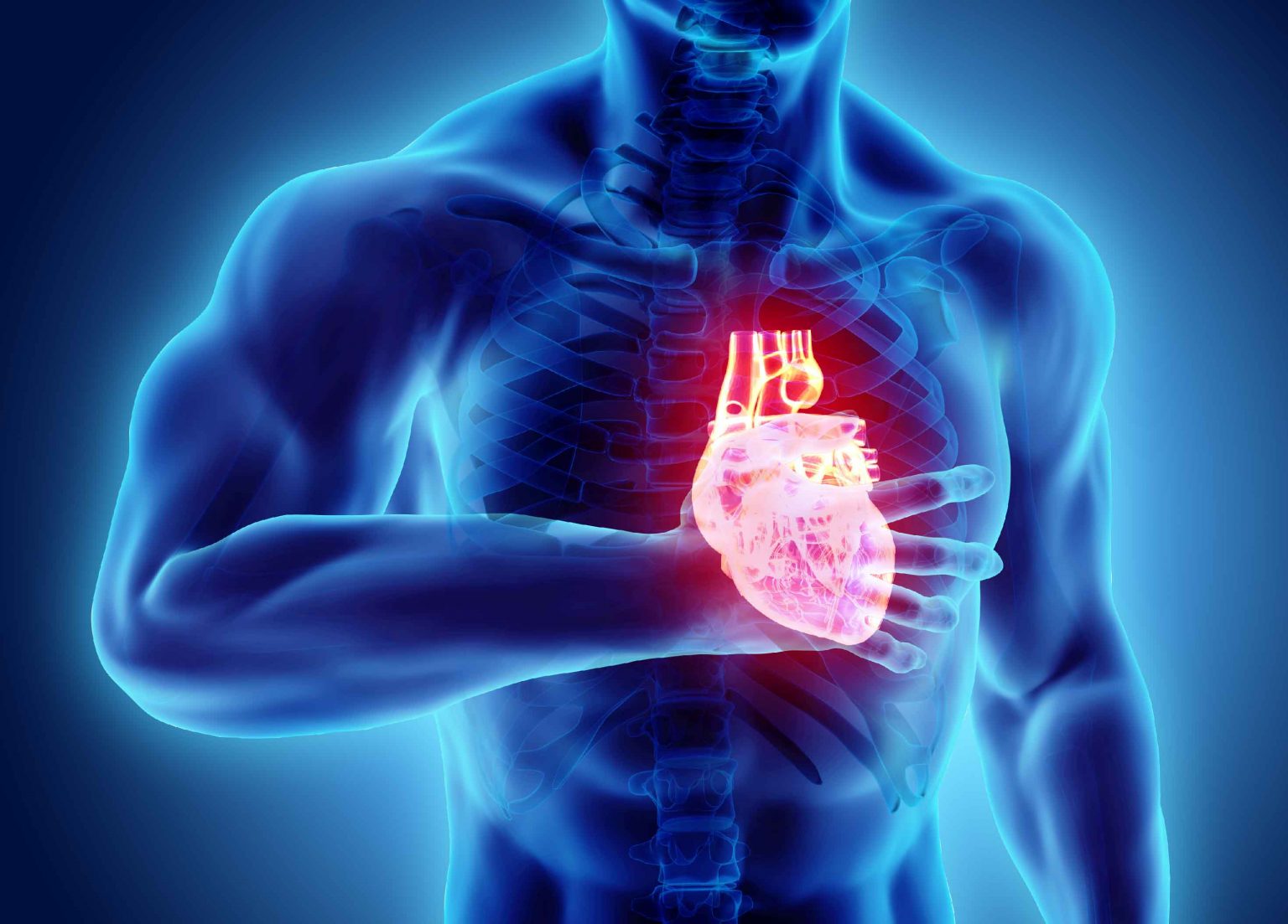 El corazón no siempre avisa: los hábitos que pueden prevenir una enfermedad cardiovascular.