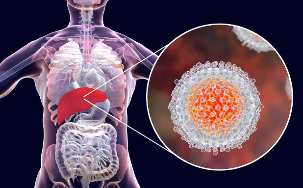 Día Mundial de las Hepatitis Virales.