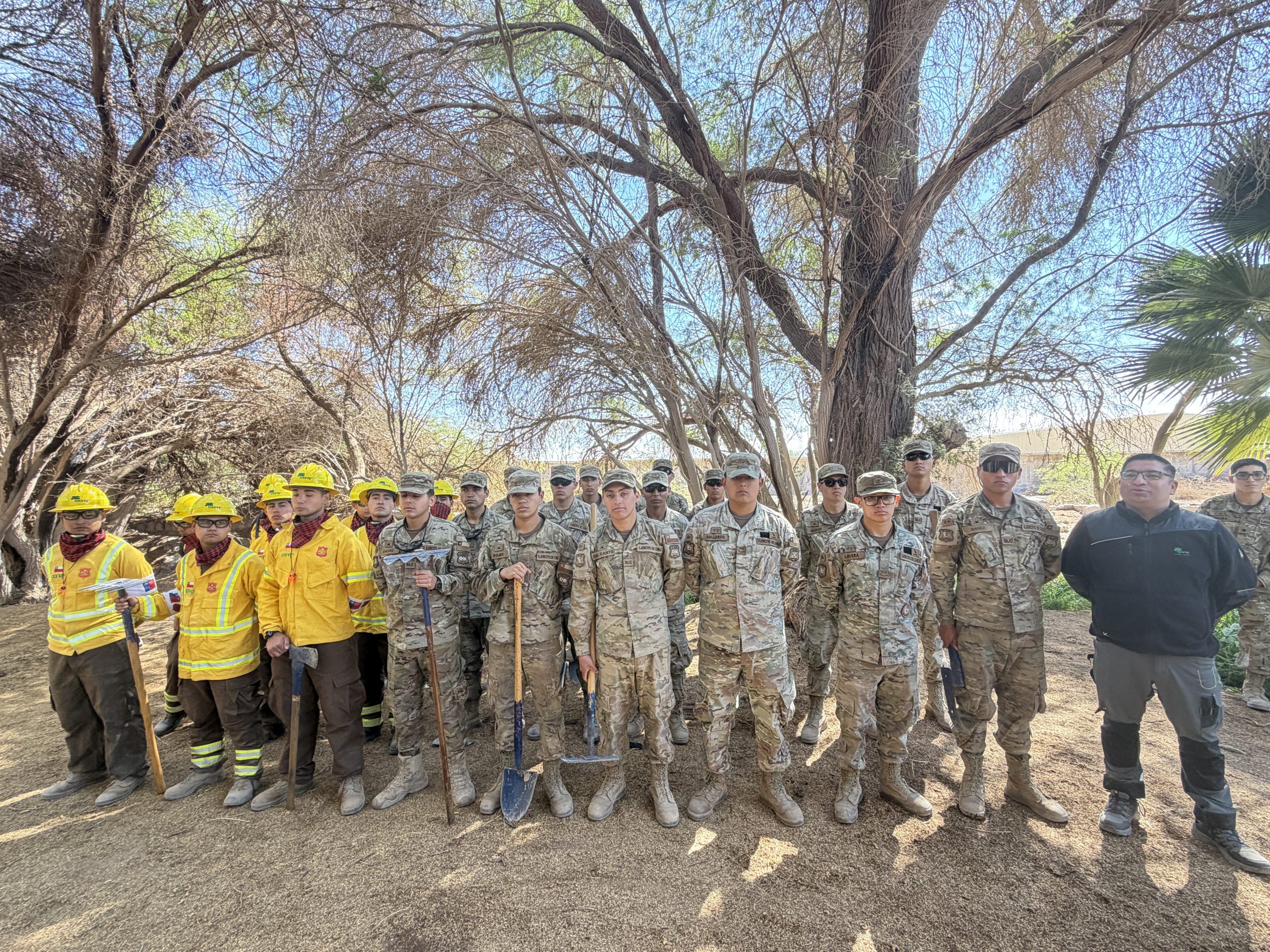Ejército y CONAF Tarapacá refuerzan preparación de brigadas para enfrentar incendios forestales.