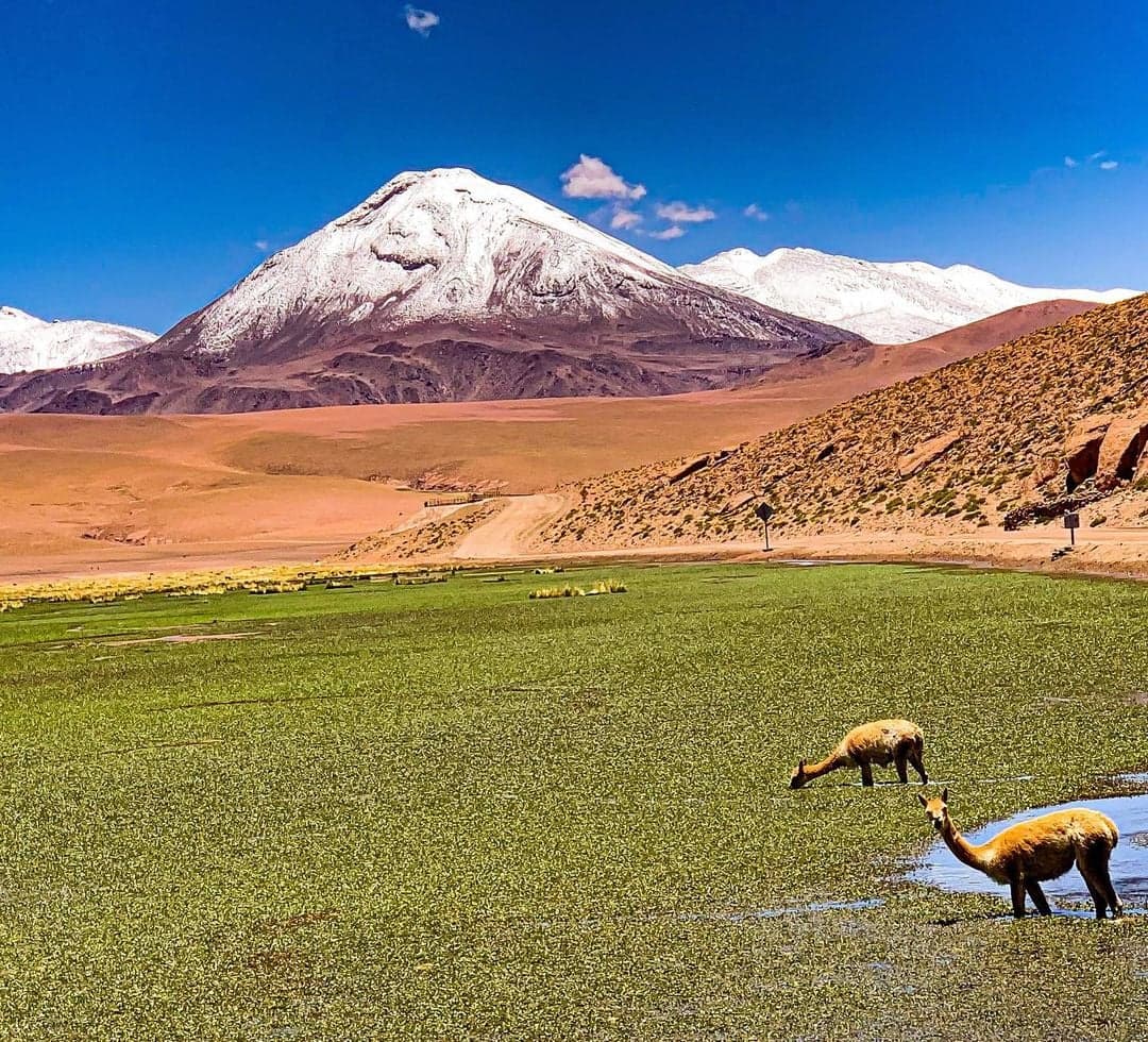 Chile se ubica en el lugar 35 en turismo y supera a México y Argentina en ranking mundial.